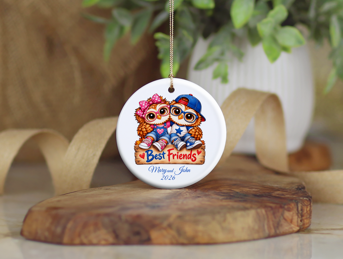Personalized Best Friends Owl Ornament, Boy & Girl Best Friend Gift, Custom Names & Year Christmas Keepsake