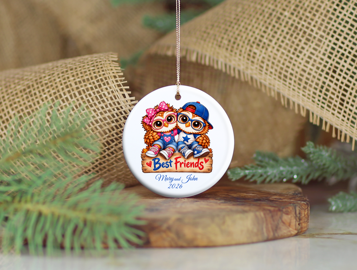 Personalized Best Friends Owl Ornament, Boy & Girl Best Friend Gift, Custom Names & Year Christmas Keepsake